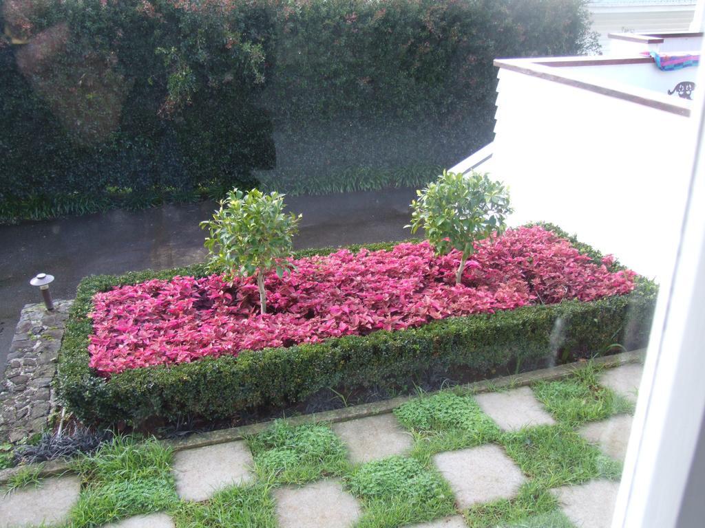 The Quiet Quarter Bed & Breakfast Auckland Ruang foto